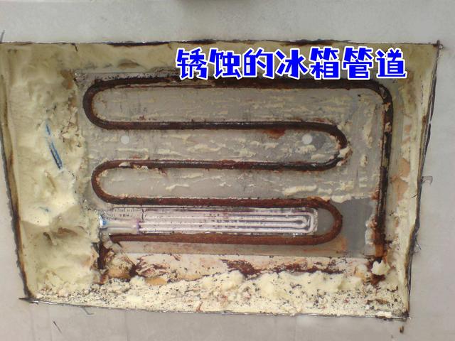 冰箱冷藏室如何使用，冰箱冷藏室结冰怎么办（冰箱也该换种用法了）