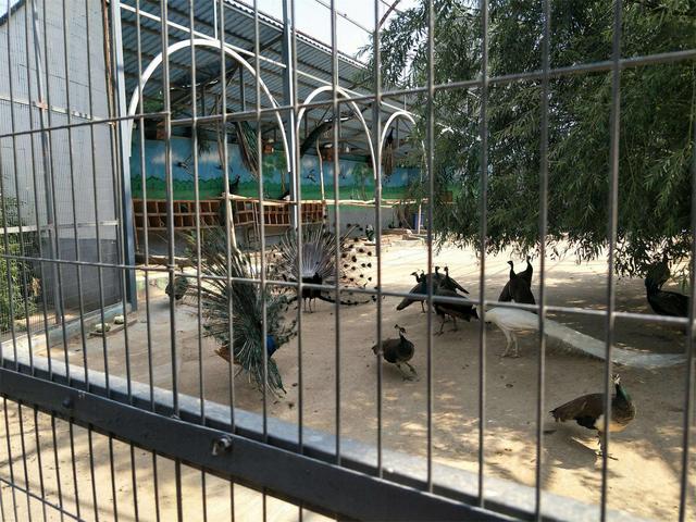 离我最近的汽车4s店，离我最近的路虎4s店（深圳福田哪里有路虎4S店）