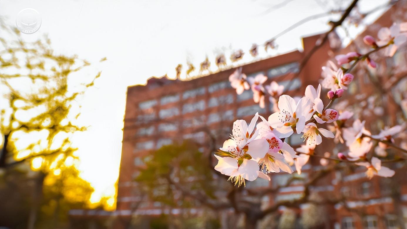 北京市商贸学校（在北二外读书是什么体验）