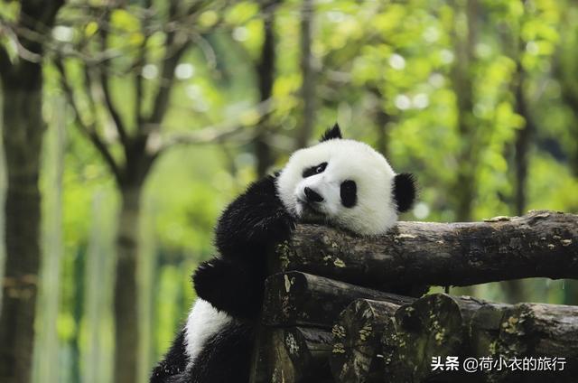 适合学生党旅游的便宜地方，学生党去哪里旅游划算（中国最适合穷游的4座城市）