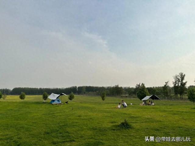 最佳油菜花观赏地，快来这里看油菜花海