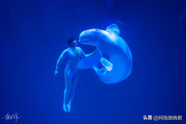 哈尔滨旅游攻略自由行攻略最新，哈尔滨一日游攻略