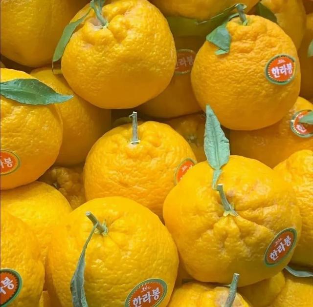 孤单的背影图片，孤单背影（ins原图头像壁纸微信背景图）