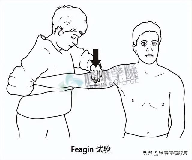 biceph，肩关节的特殊检查（bicep curl）