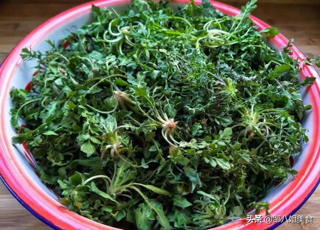 季菜饺子的做法，季季菜鸡蛋饺子怎么做（馅料鲜嫩不干巴）