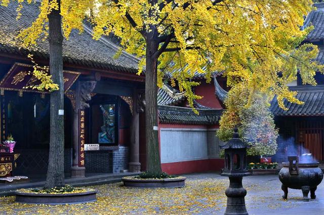 成都有哪些景点，成都风景区旅游景点有哪些（成都市区十大必逛景点）