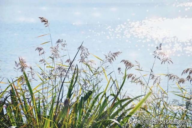 九月全国最美山水画廊，秦皇岛此时最美景致都藏在这座免费的山水画廊里~