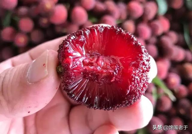 杨梅用洗嘛，杨梅用不用洗（别只会用盐水泡）