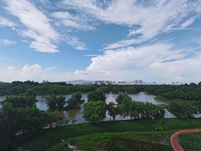 百年陈皮多少钱一斤，陈皮多少钱一斤（新会陈皮：千百元一斤的干果皮）
