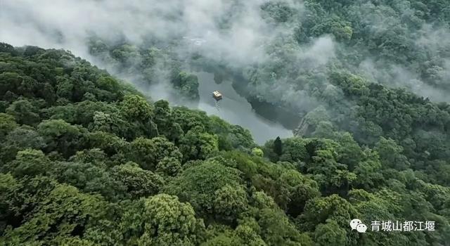 青城山旅游，青城山旅游图（赏千年银杏、观层林尽染、泡山间温泉......顶奢配置慢生活尽在青城山～）
