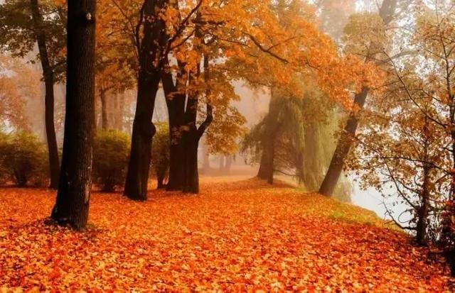 秋天是一个什么样的季节，秋天是一个什么样的季节写一段话（分享绝美秋色：叠翠流金）