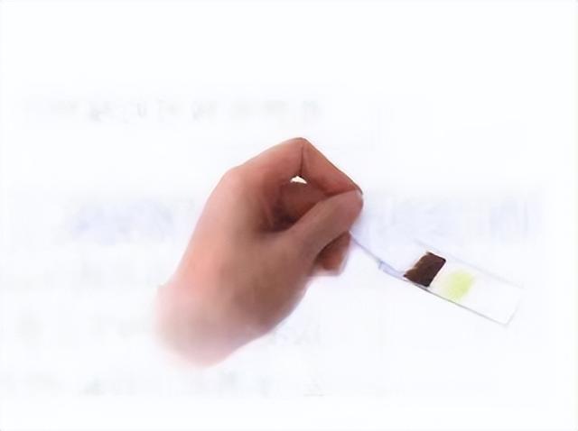 光学显微镜是什么东西，光学显微镜是什么东西图片（通过有趣的实验一起来学习吧）