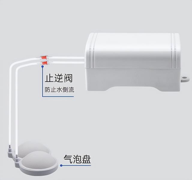 鱼缸增氧泵的使用方法，氧气泵需要一直开着吗