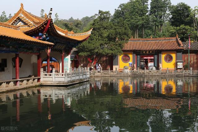 昆明动物园门票，昆明动物园都在哪里（核酸要求开放时间和票价都给你准备好了）