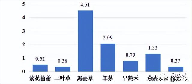 狗牙根草籽多少钱一斤，狗牙根草种子多少钱一斤（2023年度全国草种供需分析报告）