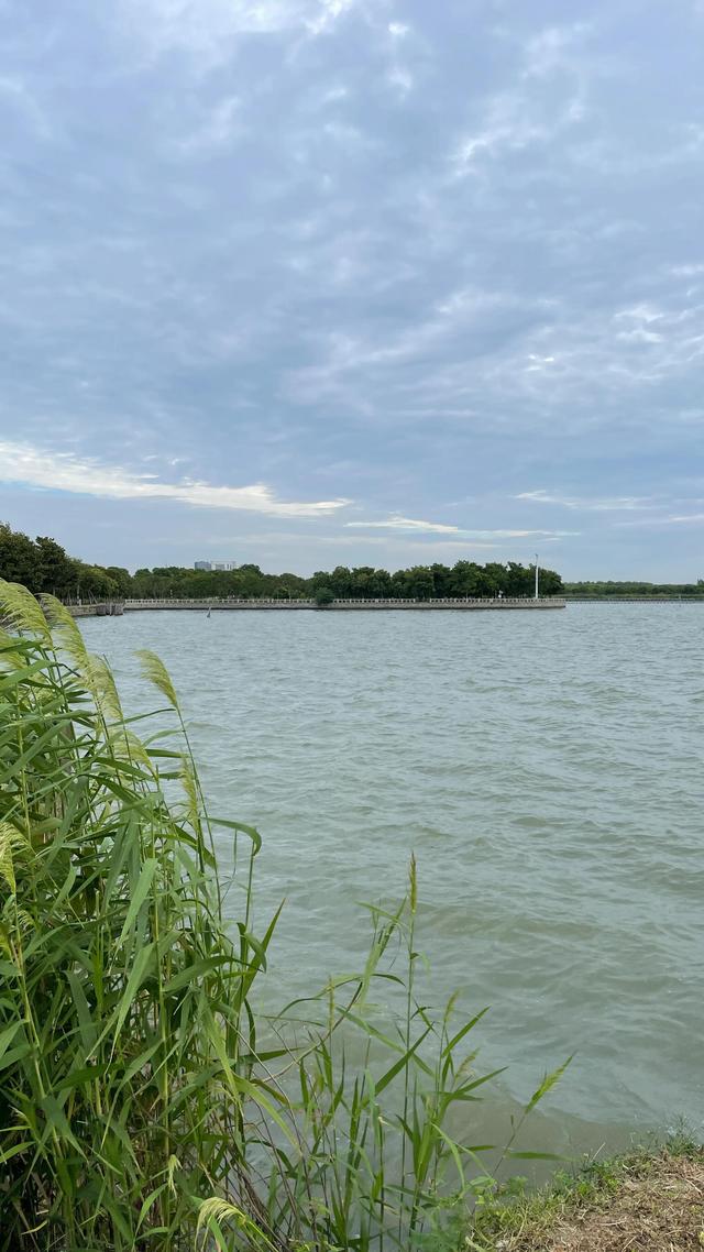 上海到青岛多远，上海到青岛的路程（上海青岛往返1400公里全程无高速沿途城市蜻蜓点水游）
