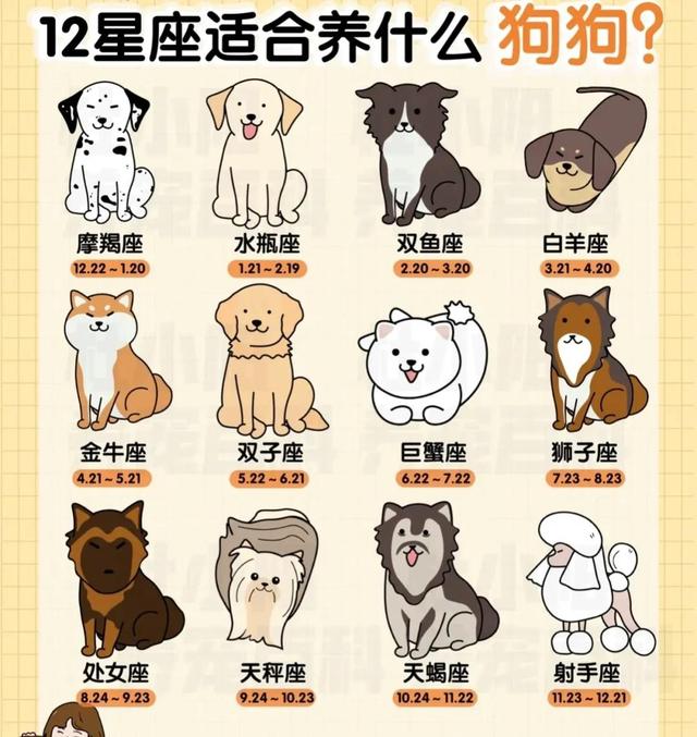 十二星座都有哪些，12月份的星座有哪些（关于十二星座，了解一下吧）