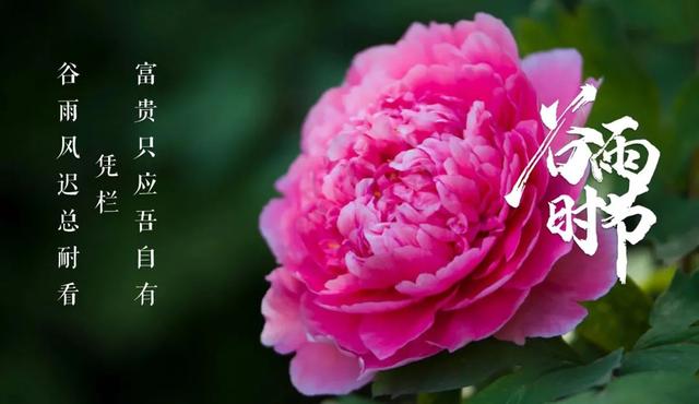 关于谷雨的古诗，关于谷雨的古诗有哪些（一起感受古诗词里的谷雨）