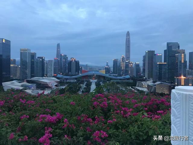 周日打卡鹏城第一峰，从蝴蝶谷-好汉坡步道登顶