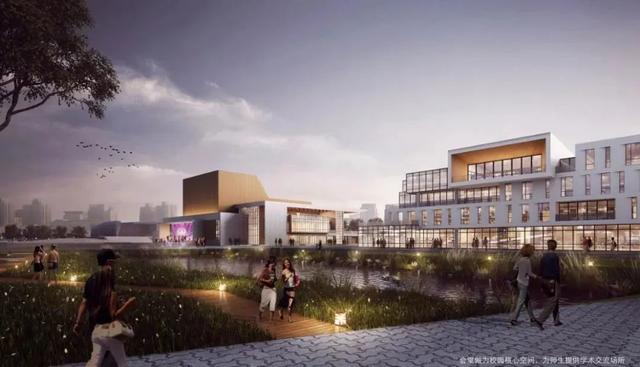 上海各大高校地址，上海各区高校（来看这所高校浦东校区的规划方案→）