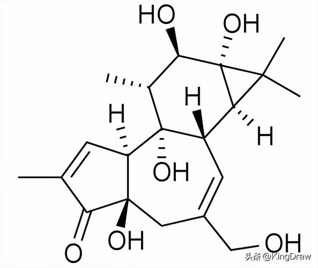 属马的禁忌种什么植物，属马适合种什么植物（带你认识世界上的剧毒植物）