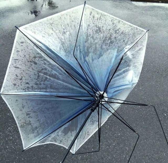 反向伞和普通伞区别，反向伞和正常折叠伞哪个更结实（收伞不湿身）