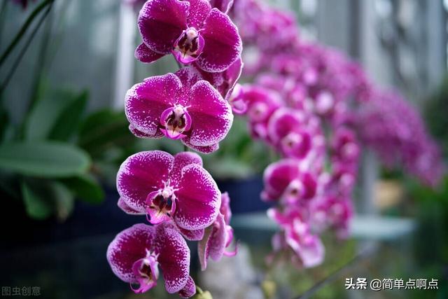 春夏秋冬分别是哪几个月，日本春夏秋冬分别是哪几个月（春、夏、秋、冬，对应什么）