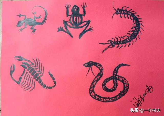 端午节挂艾草怎么挂，端午节艾草怎么挂（端午挂艾草，都有啥讲究）