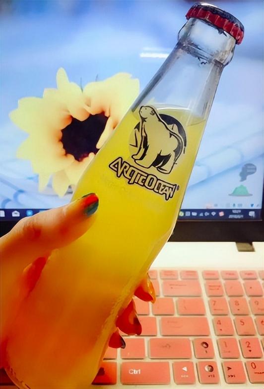 北冰洋汽水多少钱一瓶，北冰洋汽水价格表（身世坎坷的国产饮料北冰洋）