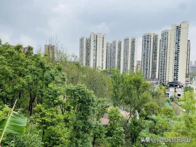 秋天的花朵怎么画，儿童画秋天的花朵（秋天的画）