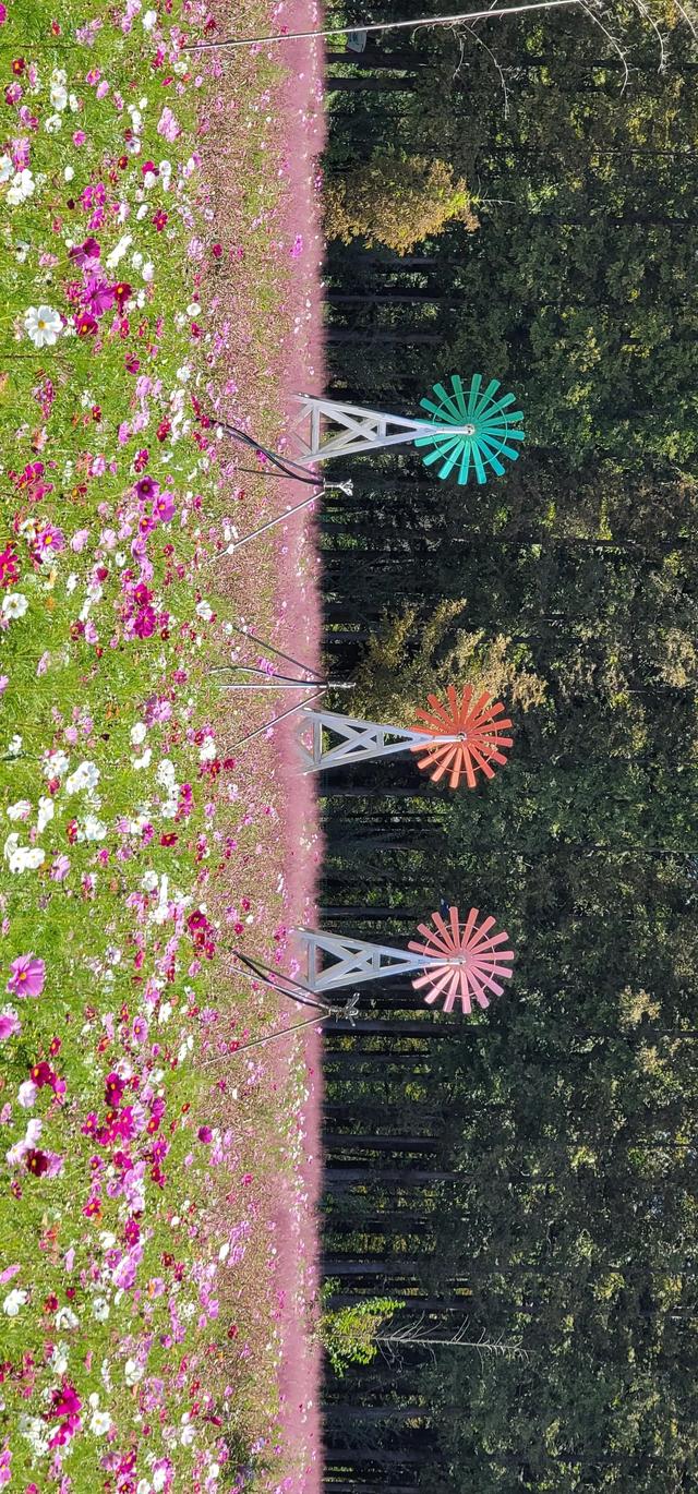 上海到青岛多远，上海到青岛的路程（上海青岛往返1400公里全程无高速沿途城市蜻蜓点水游）