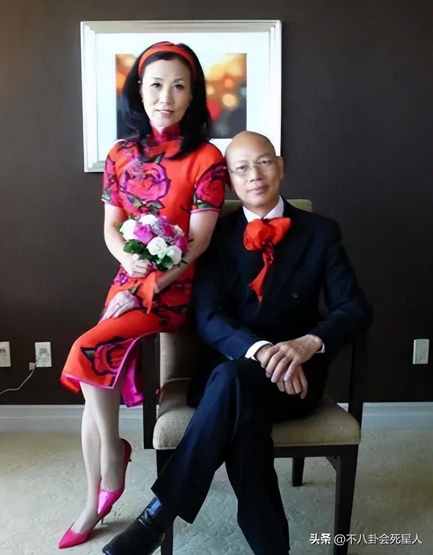苗侨伟主演的电视剧，苗侨伟演的关于黑社会的电视剧是哪部（癌症、不生孩子、事业落魄）