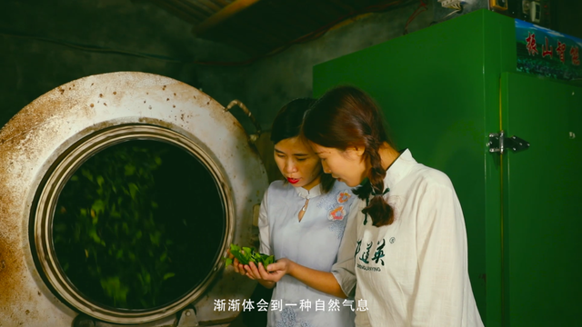 乌龙茶和铁观音的区别，乌龙茶与铁观音是一个茶吗有什么区别（乌龙茶铁观音为什么要摇青）