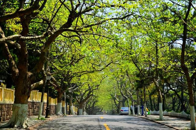 青岛景点介绍，青岛旅游景点介绍大全（10个推荐景点及周边玩法攻略）