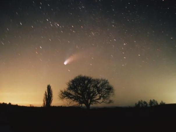陌上花开的暗示寓意，陌上花开的暗示（文案，古代如何表达“我想你”）