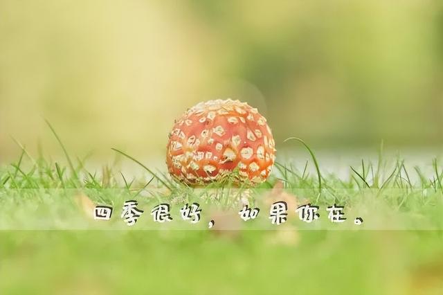 正能量早安问候语，简短正能量早安问候语（早安心语，正能量经典说说句子）