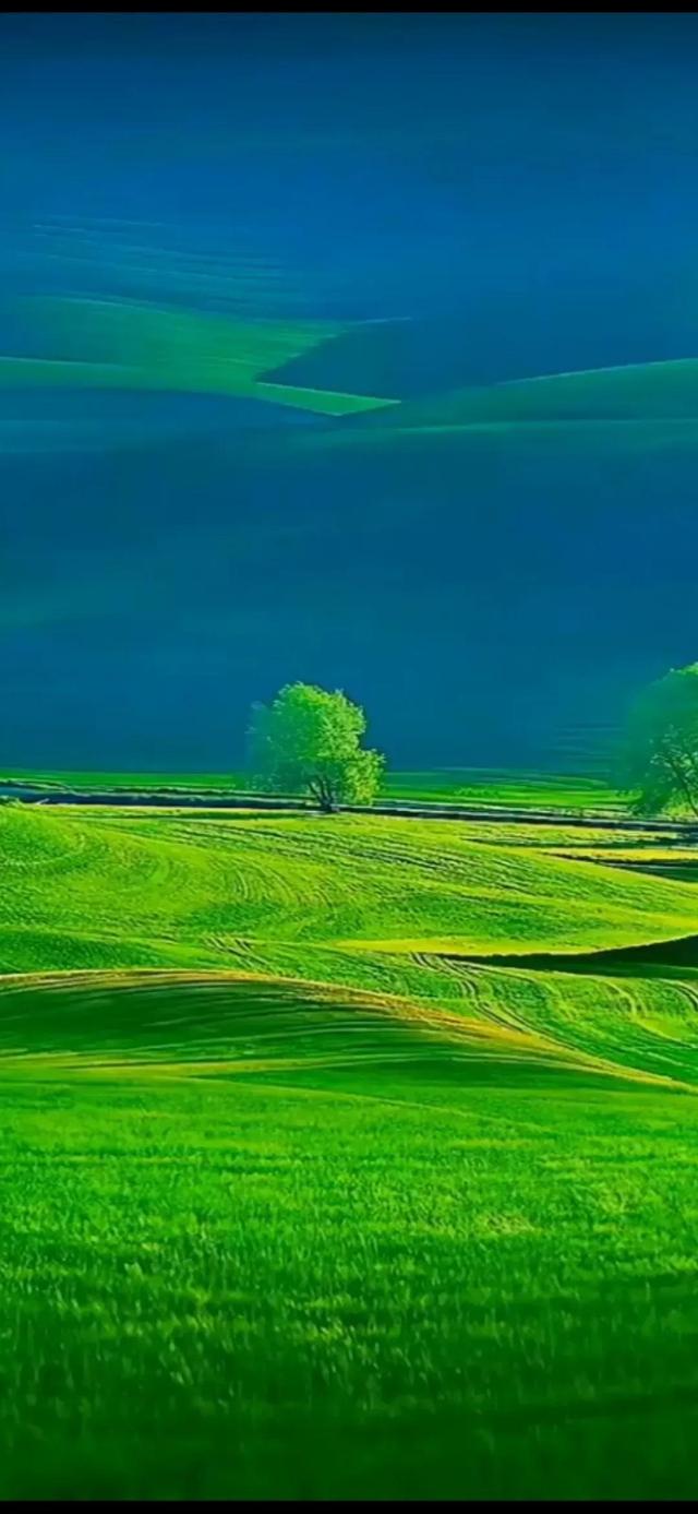 弹簧拉力器的锻炼方法你了解吗，弹簧拉力器的锻炼方法你了解吗视频（疫情之下如何突出重围安然无阳）