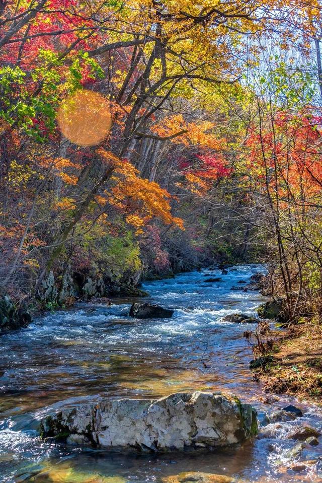 本溪特色美食有哪些，本溪特色美食有哪些小吃（国内唯一媲美北疆的地方）