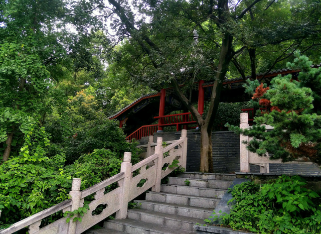 南京晚上哪里好玩的景点，上海旅游景点哪里好玩（共赴2022南京中秋佳节）
