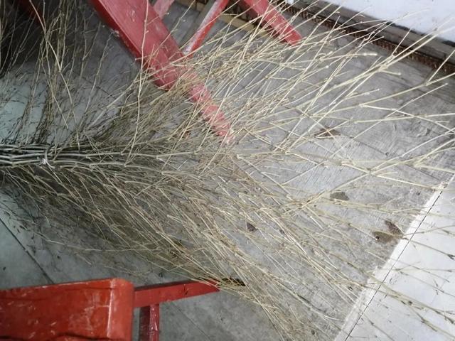 禾比秕谷怎么读，秕谷怎么读拼音怎么写（80年代农村常用的14种老物件）