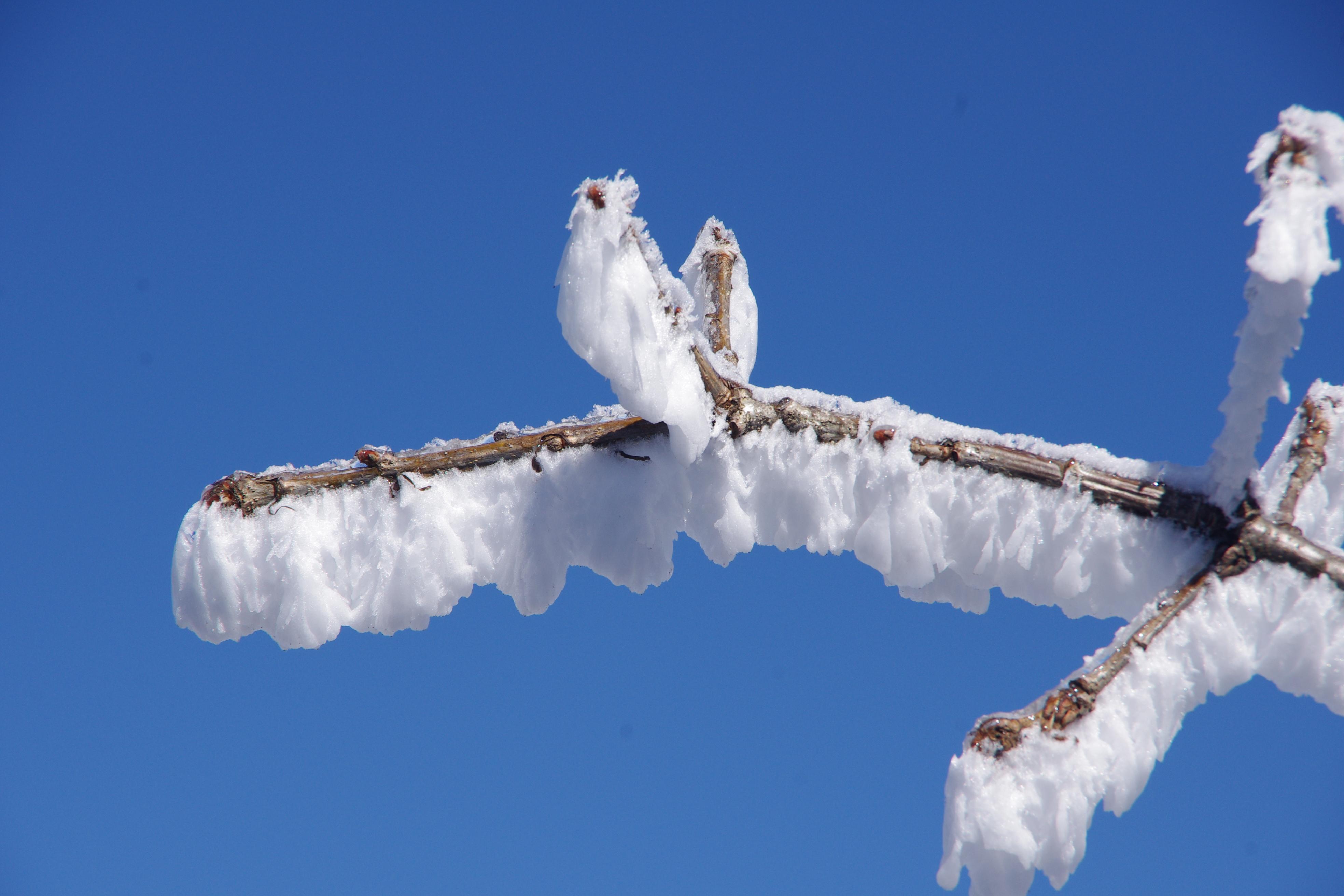 美的雪景说说,关于雪的优美句子