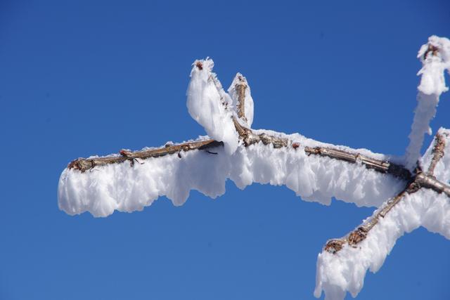 下雪天的唯美文案，下雪天的唯美文案春雪（关于雪的优美句子）