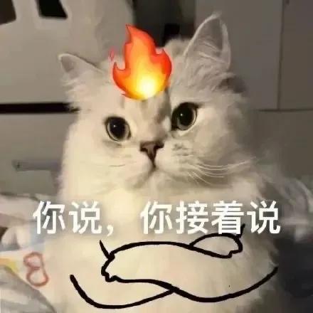 奇葩是什么意思，杏林奇葩是什么意思（不如来看看奇葩的意思怎么样）