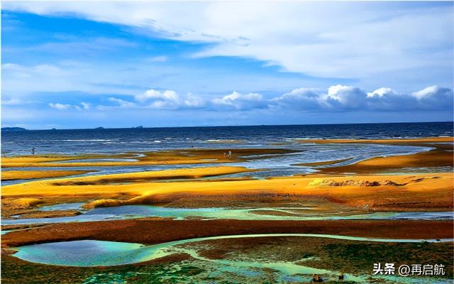 哈尔滨工业大学威海校区是985还是211，哈工大威海分校是985吗（山财543、山师560、哈工602、山大607）