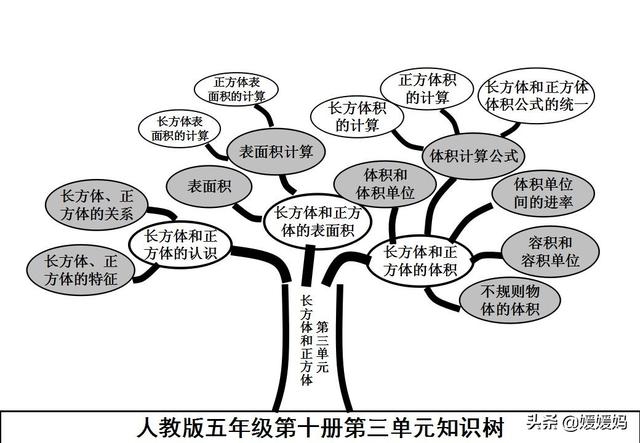 六下数学思维导图，六年级数学下册思维导图全部（人教版五年级数学下册各单元思维导图）