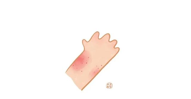 皮肤九小层分别是什么，皮肤九小层分别是什么图片（上学前教孩子认识自己的身体）