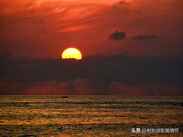 夕阳余晖的唯美诗句，落日余晖的唯美诗句（蝶恋花•落日感怀）
