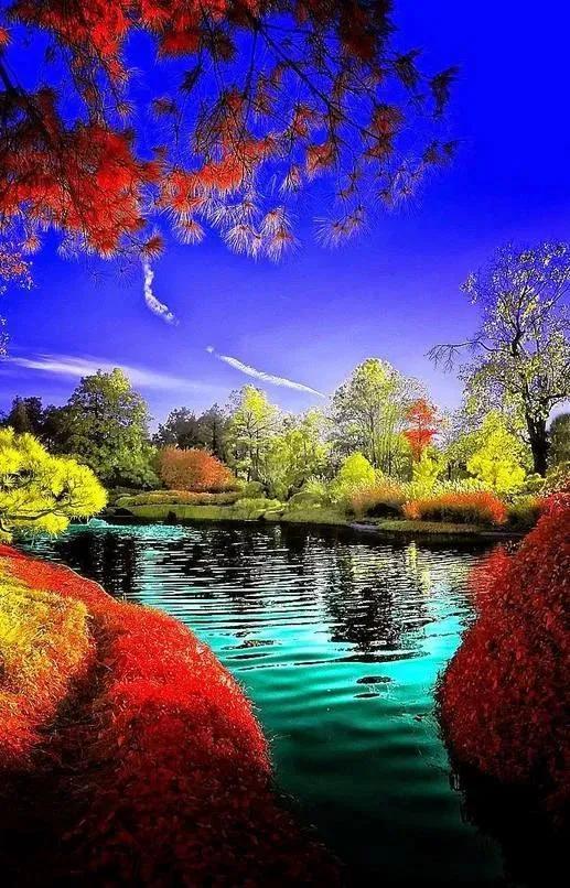 秋天是一个什么样的季节，秋天是一个什么样的季节写一段话（分享绝美秋色：叠翠流金）