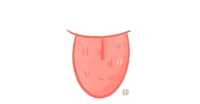 皮肤九小层分别是什么，皮肤九小层分别是什么图片（上学前教孩子认识自己的身体）