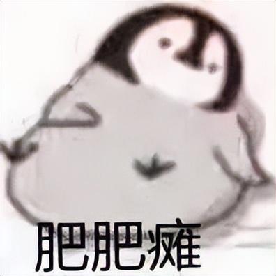 好看的表情包(10000种表情包图片大全)
